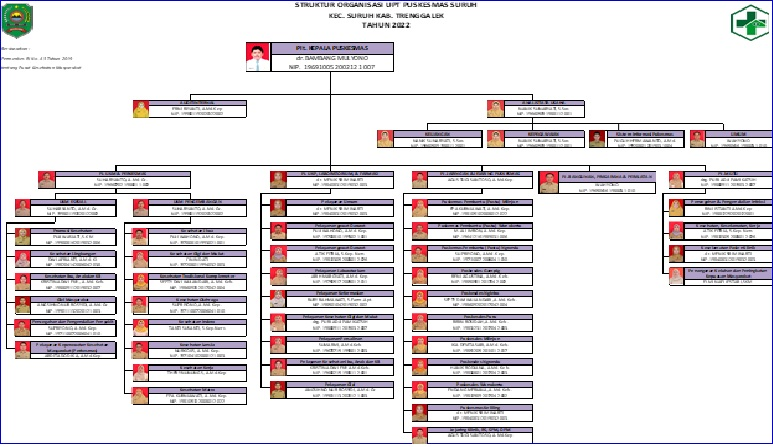 Struktur Organisasi Puskesmas